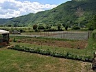 L'orto per la produzione di verdure di stagione